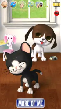 Talking Stars: Cat-Dog-Pets Screen Shot 3