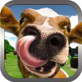 البقرة البرية لعبة محاكي 3D