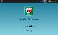 Spider Solitaire Screen Shot 1