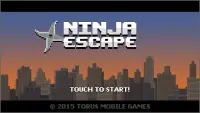 Ninja Escape Screen Shot 3
