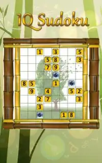 Sudoku IQ Puzzle Free Screen Shot 0