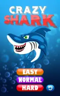 Crazy Shark - Jogo de tubarão Screen Shot 4