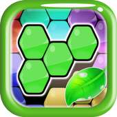 Jungle Hexa Puzzle Game