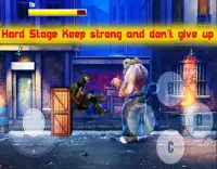 Super Ninja & Turtles Fight: Legends of BeatEm-Up Screen Shot 2