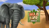 WildLife Africa Premium Screen Shot 7