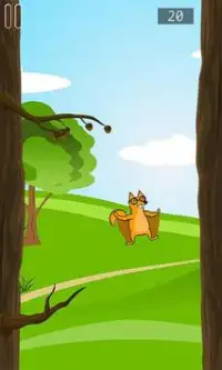 The Squirrel : Impossible Jump Screen Shot 2