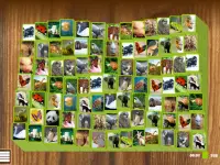 Mahjong Fauna-Animal Solitaire Screen Shot 17