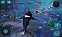 Killer Whale Beach Attack 3D Screen Shot 4