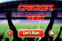 Cricket Run Screen Shot 0