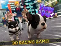 🐕 Puppy Dog in the City Screen Shot 3