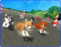 Cute Puppy Dog Racing Sim 2017 Screen Shot 12