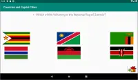 Countries, Capital cities, Continents, Flags Quiz Screen Shot 9