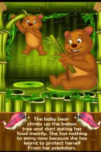 baby bear b'day bedtime story DayCare Screen Shot 2
