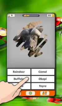 Animal Quiz. Scratch Trivia Game Screen Shot 7