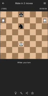 Chess Puzzles Screen Shot 14
