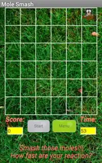Mole Mash เกมส์ตีตุ่น Screen Shot 1