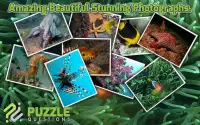 Free Under the Sea Puzzles Screen Shot 1