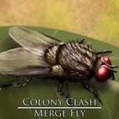 Colony Clash : Merge Fly