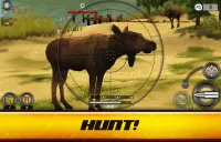 Wild Hunt: हंटिंग गेम 3D Screen Shot 17