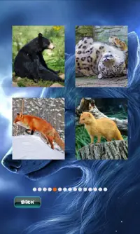 Animals Jigsaw Puzzle Screen Shot 1