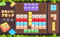 ブロックパズル：人気のパズルゲーム-テトリス-簡単なゲーム Screen Shot 21