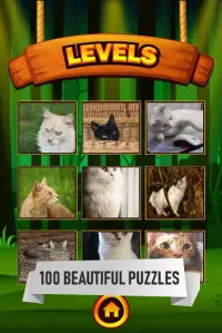 Curious Cats Jigsaw Puzzle Screen Shot 1