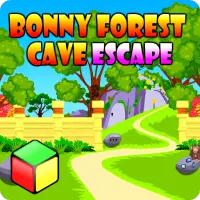 포레스트 이스케이프 게임 - Bonny Forest Cave Screen Shot 0