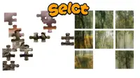 Nature Puzzle Screen Shot 1