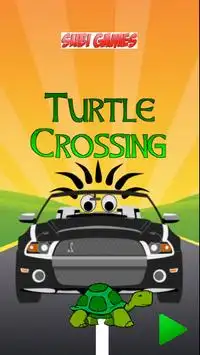Turtle Crossing v.4 Screen Shot 0