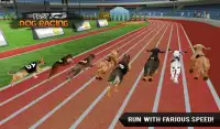 Fast Dog Racing 3D Screen Shot 3