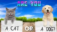 Test what cat or dog am I? Animal simulator Screen Shot 0