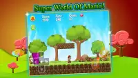 Super World Of Mario Screen Shot 2
