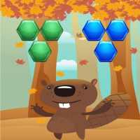 Beaver Hexa Puzzle Game
