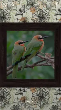Birds Puzzles - 100 Pictures Screen Shot 3