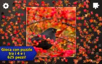Jigsaw Puzzles Epic Screen Shot 9