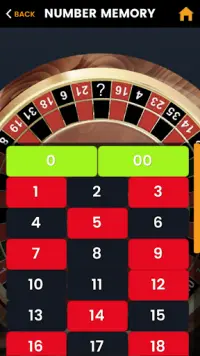 American Roulette Mastery Pro Screen Shot 5