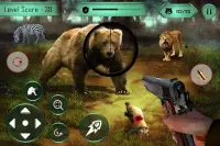 Animal hunting wild bear Sniper Shooter Screen Shot 3
