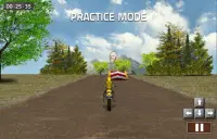 Dirt Bike Racing Screen Shot 4