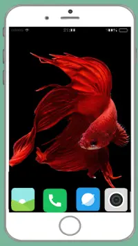 Fish Full HD Wallpaper Screen Shot 14