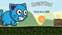 Angry Cat Screen Shot 0