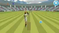 Cricket Bat Ball Hit 3D Screen Shot 0