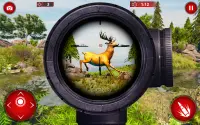 Wild Animal Hunting Games: Animal Shooting Games Screen Shot 5