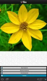 Flowers Puzzle – MPW Screen Shot 22