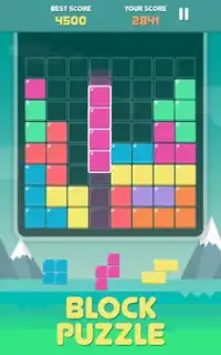 Pro Block Puzzles Screen Shot 0
