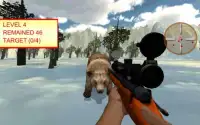 Urso caçador 2017 3D Screen Shot 0