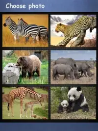Animal Puzzle Games For Kids Screen Shot 1
