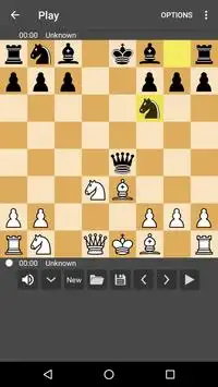 Play Chess & Learn Screen Shot 0