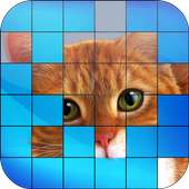 Guess The Picture - Trivia Quiz