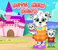 Pet Baby Care: New Baby Puppy Screen Shot 4