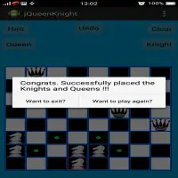 Chess Queen and Knight Problem Screen Shot 8